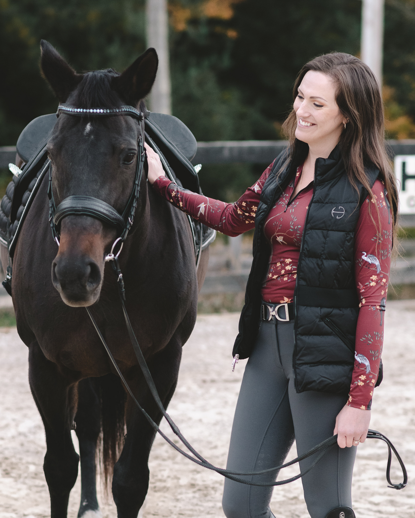 Evolution Full Seat Breeches - Jet Set Gray & Anthracite