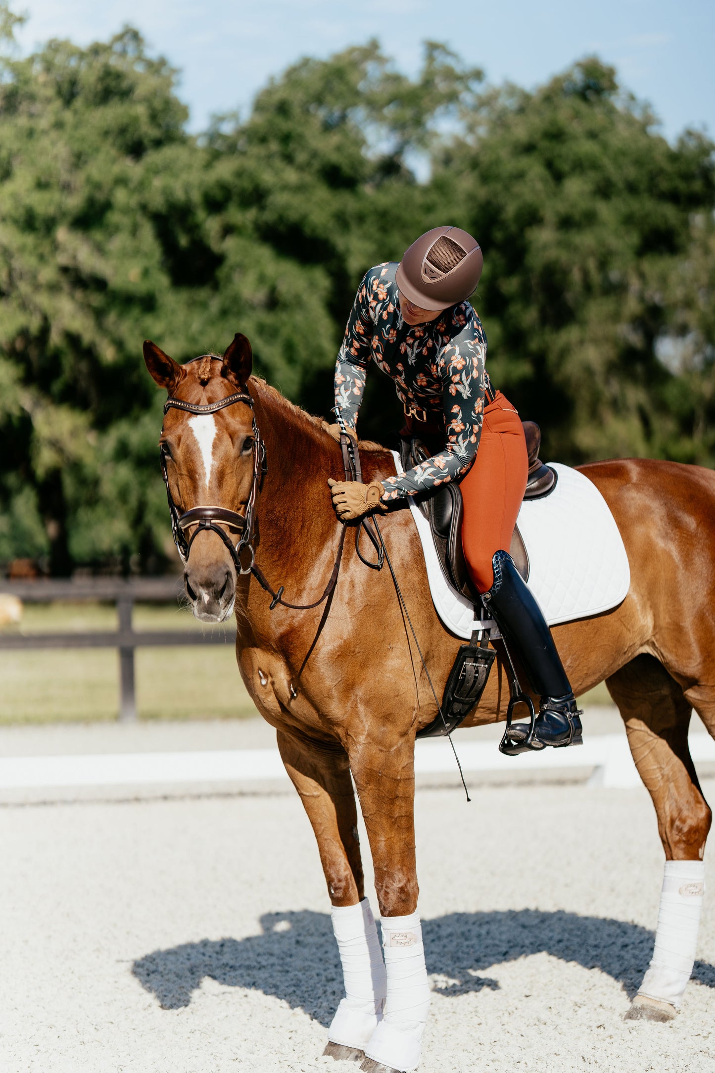 Evolution Full Seat Breeches - Rust