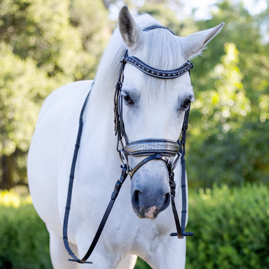 Artemis Black Leather Snaffle Bridle