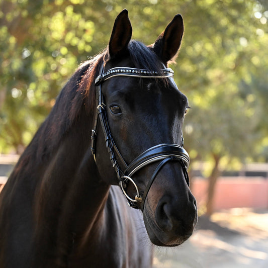 The Eiffel Tower Black Leather Snaffle Bridle