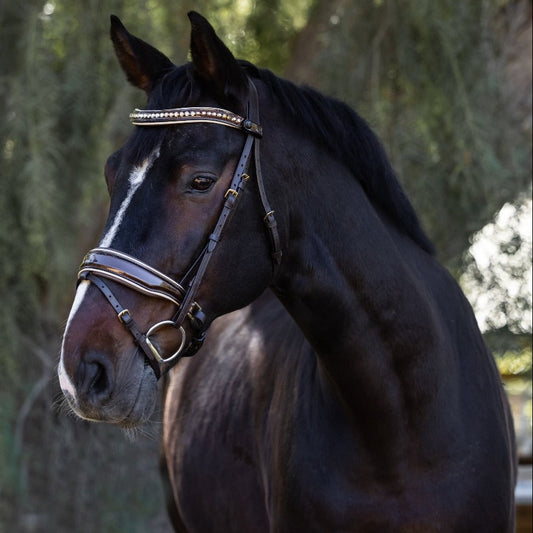 The Catalonia Metallic Bronze Leather Snaffle Bridle with Removable Flash