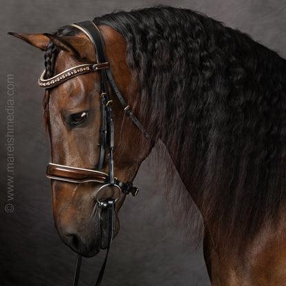 The CHAMPAGNE Black Leather Snaffle Bridle