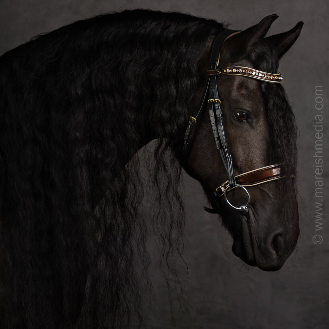 The CHAMPAGNE Black Leather Snaffle Bridle