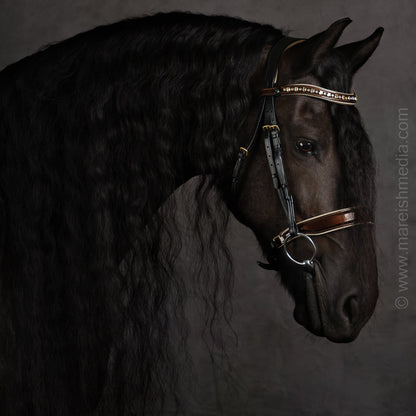 The CHAMPAGNE Black Leather Snaffle Bridle