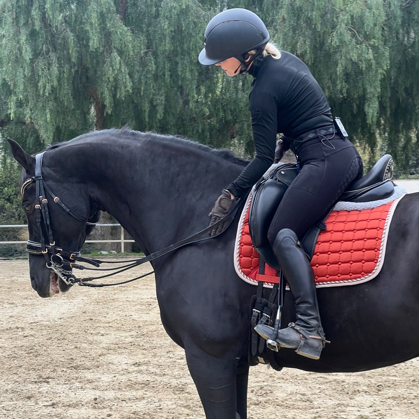 Satin Classic Dressage Saddle Pad - Rust