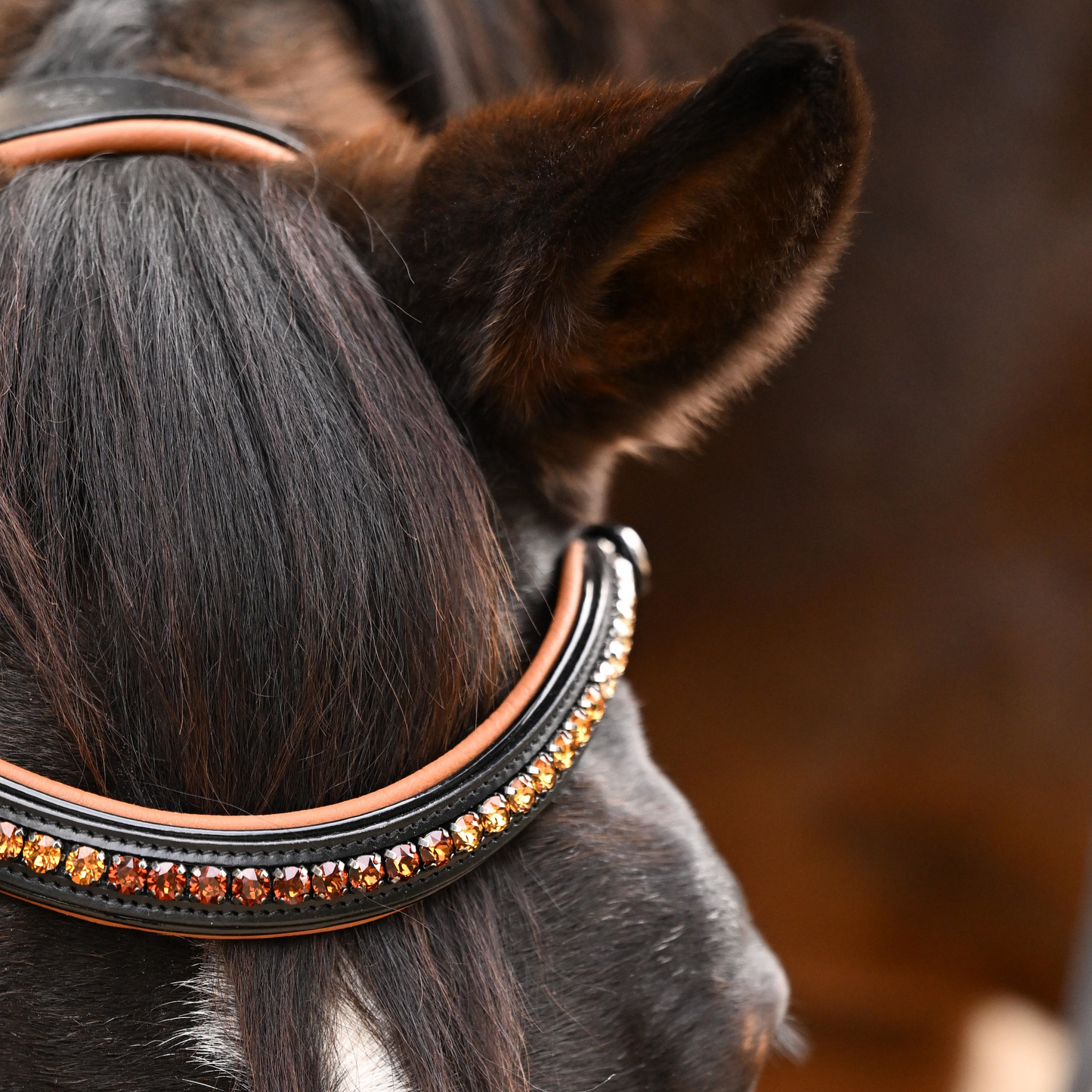 The Tuscany Black Leather Rolled Leather Snaffle Bridle with Removable Flash