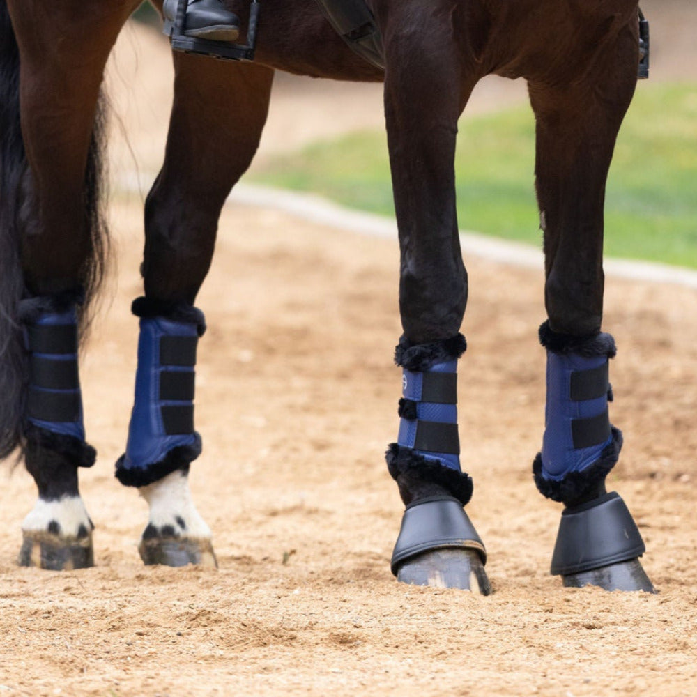 Halter Ego® Brushing Boots - Royal Blue