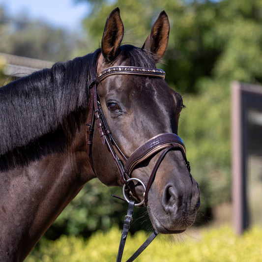 The Sun King Brown Patent Leather Snaffle Bridle