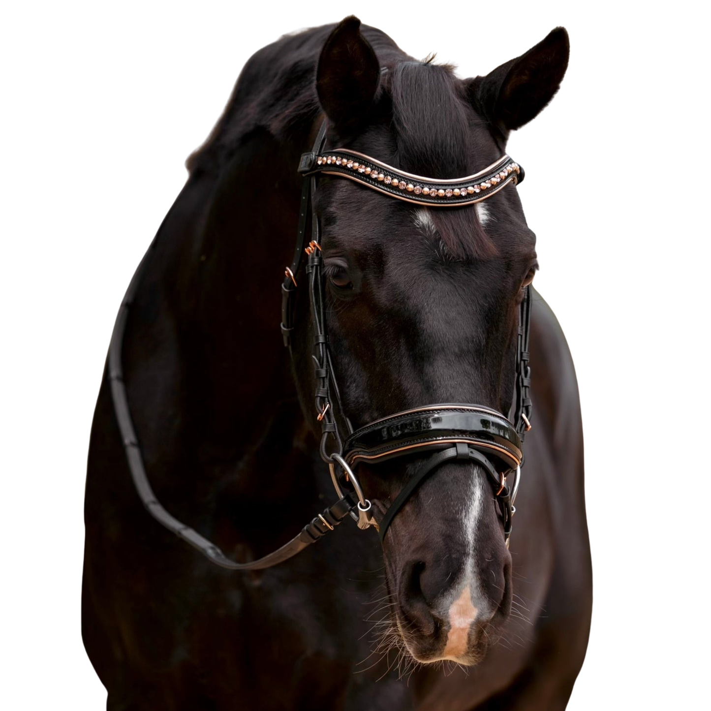 Aurelia Rose Gold Black Patent Snaffle Bridle with Removable Flash