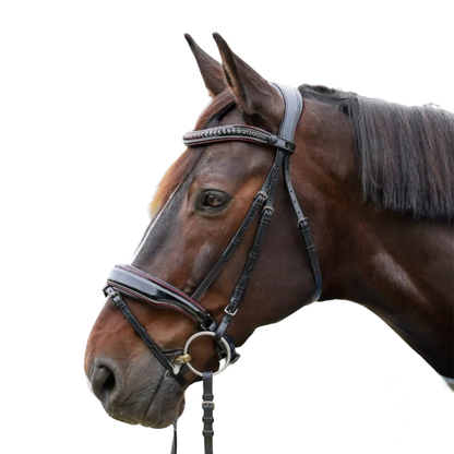 The Hayworth - Black Patent Snaffle with Burgundy Patent Piping & Removable Flash