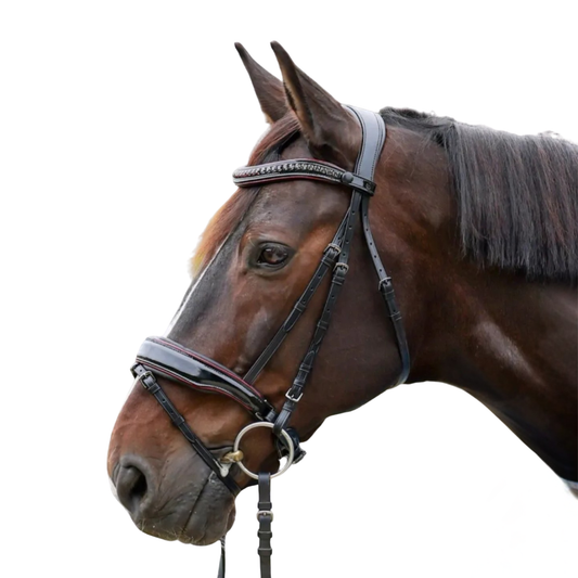 The Hayworth - Black Patent Snaffle with Burgundy Patent Piping & Removable Flash