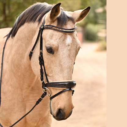 The VIENNA Brown Patent Leather Snaffle Bridle